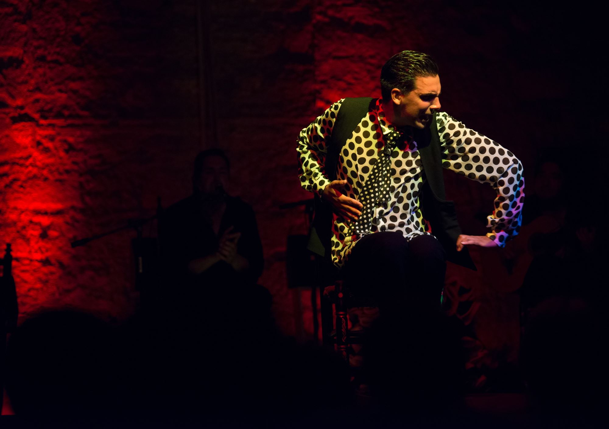 book Flamenco Show in Tablao Puro Arte of Jerez de la Frontera